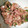 apochang's cooksnap of when they made 簡単！ なめろう(今回はイナダ).