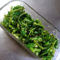 チャムサン's cooksnap of when they made 春レシピ！菜の花のごまツナおひたし.