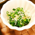 ☆糖質減らしてます☆'s cooksnap of when they made 簡単おつまみ！ネギとじゃこだけ〜♪.