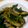 ぽんぷー's cooksnap of when they made 師匠直伝、焼肉のタレでナス炒め♪.