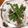 如月＊'s cooksnap of when they made インゲンのW胡麻和え.