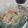 Kayadehutt's cooksnap of when they made れんこんの梅肉ソースサラダ♪簡単梅肉あえ.