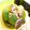のりてぃｓｘ's cooksnap of when they made ピーマンと椎茸のおかか炒め.
