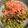 クックACX318☆'s cooksnap of when they made 春レシピ！菜の花のごまツナおひたし.