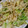 cotton777's cooksnap of when they made 超！節！約！キャベツともやしの玉子とじ♪.