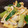 orihime07's cooksnap of when they made ネギと竹輪とあげの味噌和え(ぬた).