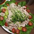 setzerTAKA's cooksnap of when they made 豚しゃぶサラダ.