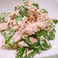 ゆみらんたん's cooksnap of when they made 絹さやとツナの簡単サラダ.