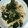 だいたいぶ's cooksnap of when they made 白滝タラコ＆ちくわのマヨ和え.
