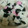 日向座敷猫's cooksnap of when they made ☺簡単おつまみ♪蒲鉾と海苔のわさび和え☺.