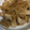 キャップとラム's cooksnap of when they made 豚こまと玉ねぎの生姜焼き風*.