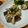たまちょん's cooksnap of when they made ブリのソテー☆スタミナきのこソース！.