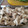 Amalka's cooksnap of when they made 超簡単♪鶏のささ身の酒蒸し.
