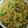 ○ちょび○'s cooksnap of when they made まるまるレタスを使った炒めもの！.
