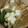 ami-rarara's cooksnap of when they made もやし鍋.