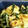 クックT4DAYK☆'s cooksnap of when they made のせて焼くだけ！厚揚げのチーズ焼き.