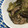 おはあおとうこ's cooksnap of when they made ナスとひき肉のとろとろ丼.