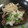 papikun's cooksnap of when they made 牛コロコロステーキおろしと柚子胡椒たれで.