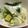 ぽんぽろりん's cooksnap of when they made 簡単かぶとアボカドのビネガーサラダ.