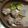 ぱんぷーこ's cooksnap of when they made 離乳食に☆ふわふわ鶏団子.