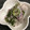 野比のびえ's cooksnap of when they made キュウリと大根のゆかり和え.