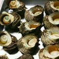 なか丸's cooksnap of when they made 食べやすい！！サザエの甘辛煮.