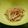 くもうつぼ's cooksnap of when they made レンジでできる！もやしの梅かつお和え.