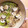 Catto's cooksnap of when they made ストウブできゃべつとはまぐりの酒蒸し.