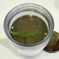 きのこ工房's cooksnap of when they made ローズマリーと生姜とはちみつティー.