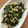 夕飯は６時です's cooksnap of when they made 椎茸ニラ玉.
