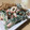 neeboo♬♪'s cooksnap of when they made ほうれん草のゴママヨネーズ和え.
