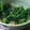 あゆたっくん's cooksnap of when they made 和えるだけ～！なめ茸とほうれん草の和え物.