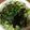 クックOZNA86☆'s cooksnap of when they made ポン酢でさっぱり豚きゅうりのおろしサラダ.