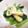 クックS0T25H☆'s cooksnap of when they made 超簡単！小松菜と薄あげのさっぱり煮☆.
