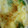 ma___111's cooksnap of when they made フライパン入らず簡単ハムとえのきグラタン.