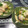 ジョングレ's cooksnap of when they made ねっとりほくほく☆里芋の揚げ出し.