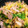 クック26352G☆'s cooksnap of when they made 簡単野菜炒め.