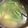 ＋SUN3's cooksnap of when they made 定番のお味噌汁をいんげんで♪.