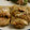 Ra16's cooksnap of when they made 旬をいただきます！鶏肉と新玉ねぎの炒め煮.