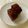 みそゆうき's cooksnap of when they made 低糖質☆しっとり濃厚チョコケーキ.
