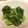 Kaon．'s cooksnap of when they made 広島菜のごま和え◎えのき入り.