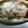のんびりつくろう's cooksnap of when they made 米茄子のコクウマ☆チーズ焼き.