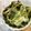 ☆Rokko☆'s cooksnap of when they made 簡単＊ブロッコリーのマヨチーズ焼き.