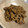みかん141's cooksnap of when they made きんぴら蓮根のごま和え.