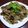 ノチアチ's cooksnap of when they made ひき肉と茄子の甘味噌炒め♪.