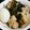 クックTSILSL☆'s cooksnap of when they made 炊飯器に入れるだけ・大根と手羽元の煮物.