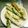 モコ119's cooksnap of when they made サトイモの唐揚げ.