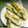 モコ119's cooksnap of when they made サトイモの唐揚げ.