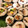 bulico's cooksnap of when they made しめサバの海苔巻き寿司.