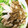 しょーちゃん♡810's cooksnap of when they made 超簡単♡棒棒鶏♪.